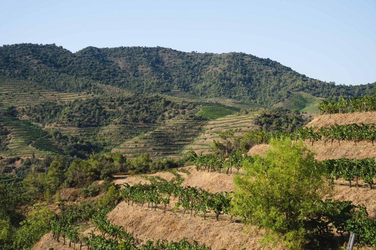 Ora Hotel Priorat, A Member Of Design Hotels Torroja Exterior photo